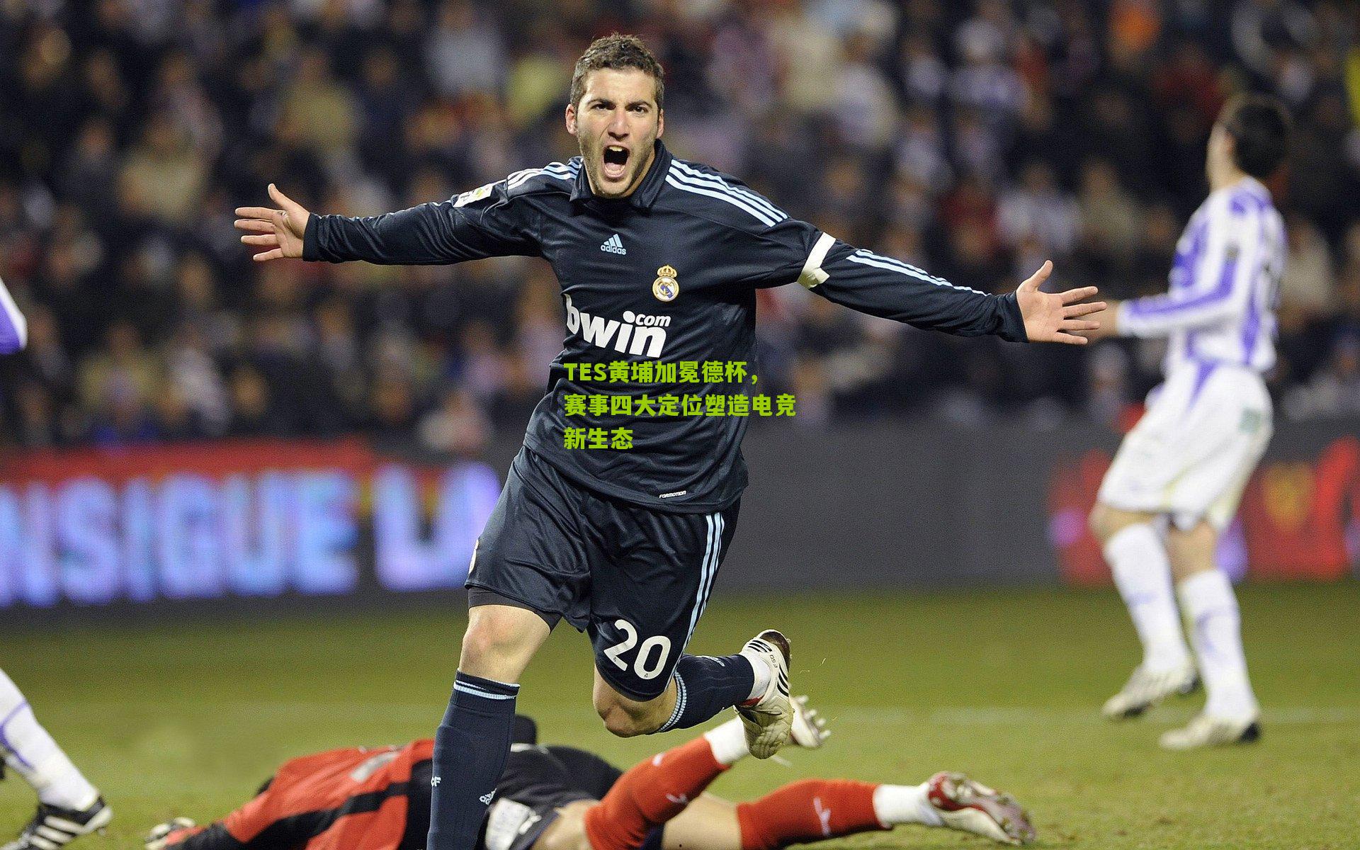 TES黄埔加冕德杯，赛事四大定位塑造电竞新生态